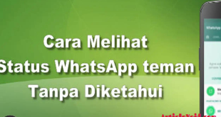 Cara Melihat Status WA Tanpa Diketahui