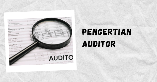 Pengertian auditor